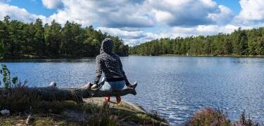 Häringe Hammersta naturreservat bjuder på rofyllda landskap och orörd natur nära hotellet.