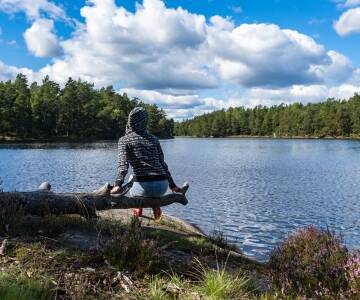 Häringe Hammersta naturreservat bjuder på rofyllda landskap och orörd natur nära hotellet.