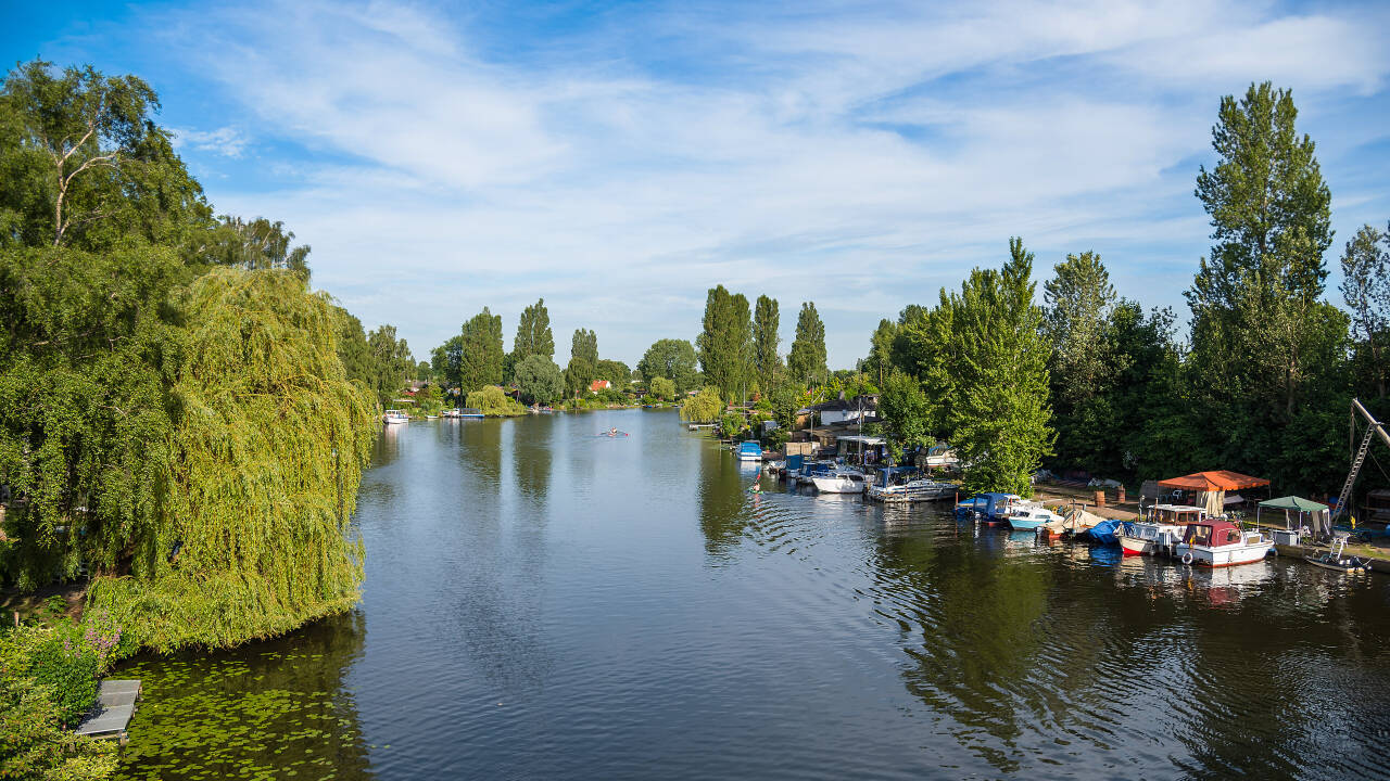 Spazieren Sie an der Bille in Hamburg entlang und genießen Sie die ruhige Uferlandschaft.