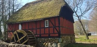 Visit the Hjerl Hede open-air museum and experience authentic Danish rural life.