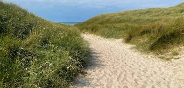 Hotellet ligger tæt på Vesterhavets sandstrande og smukke klitlandskaber.