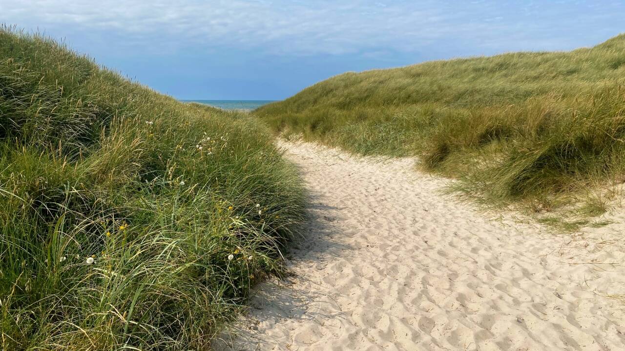 Hotellet ligger tæt på Vesterhavets sandstrande og smukke klitlandskaber.