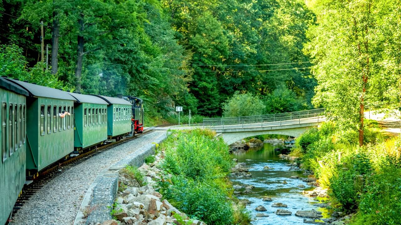 Attraktioner som Erzgebirgische Aussichtsbahn og lokale jernbanemuseer giver mindeværdige oplevelser.