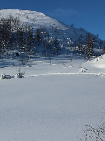 Närliggande skidområden och vandringsleder ger utomhusupplevelser året runt.