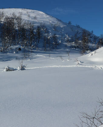 Nearby ski areas and mountain paths offer outdoor experiences throughout the year.