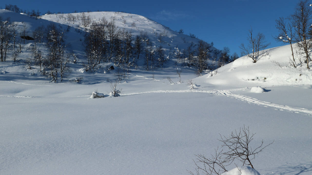 Nahegelegene Skigebiete und Bergpfade bieten das ganze Jahr über Outdoor-Erlebnisse.