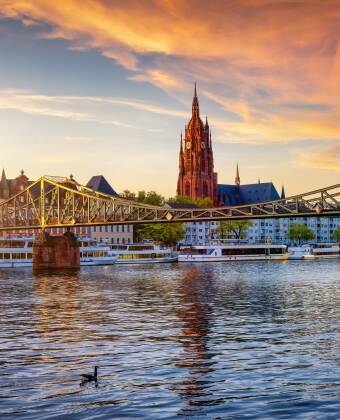See Frankfurt from the water on a scenic cruise along the Main River.
