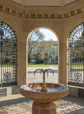 Opplev de varme kildene som har gjort Wiesbaden til et av Tysklands mest kjente velvære-destinasjoner.