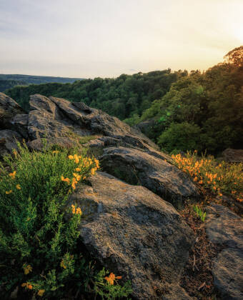 The Harz Mountains are right outside the door, with hiking trails, cycling routes, and scenic viewpoints nearby.