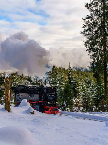 Bo på moos & morgenrot och upplev mysiga vinterdagar i Harz, med skidbackar och nostalgiska tågutflykter till Brocken alldeles i närheten.