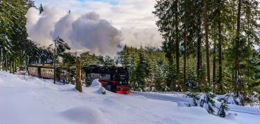 Bo på moos & morgenrot och upplev mysiga vinterdagar i Harz, med skidbackar och nostalgiska tågutflykter till Brocken alldeles i närheten.