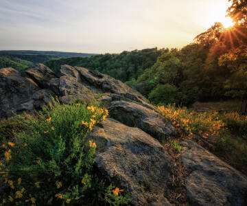 Das Harzgebirge liegt direkt vor der Tür – mit Wanderwegen, Radstrecken und herrlichen Aussichtspunkten in unmittelbarer Nähe.