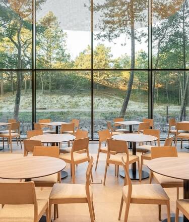 Taste the sea- and forest-inspired dishes at FURU Restaurant, where you can choose from vegan, gluten-free, lactose-free, and vegetarian options.