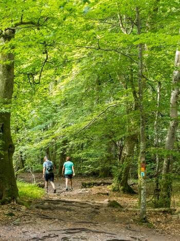 Stay just minutes from Söderåsen National Park, one of Sweden's most celebrated destinations for hiking and nature.