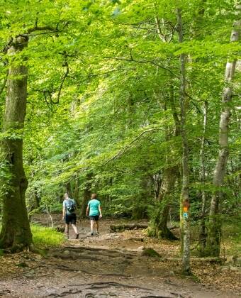 Stay just minutes from Söderåsen National Park, one of Sweden's most celebrated destinations for hiking and nature.