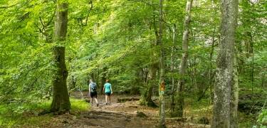 Stay just minutes from Söderåsen National Park, one of Sweden's most celebrated destinations for hiking and nature.