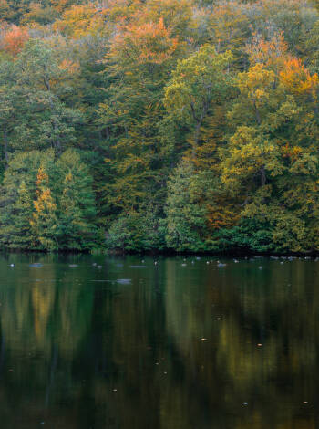 Just a short drive away lies Odensjön, one of Skåne's most fascinating natural landmarks.