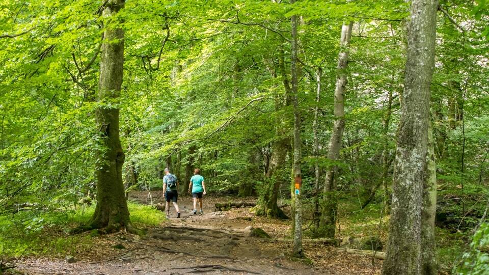 Stay just minutes from Söderåsen National Park, one of Sweden's most celebrated destinations for hiking and nature.