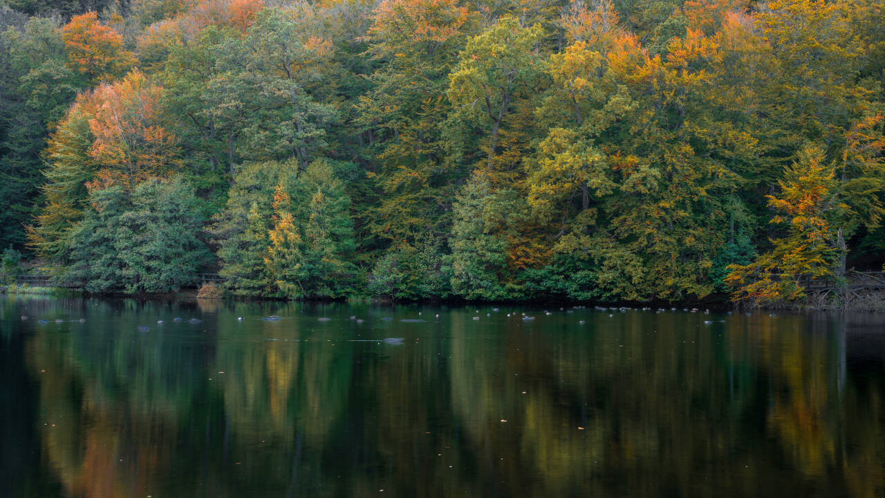 Just a short drive away lies Odensjön, one of Skåne's most fascinating natural landmarks.