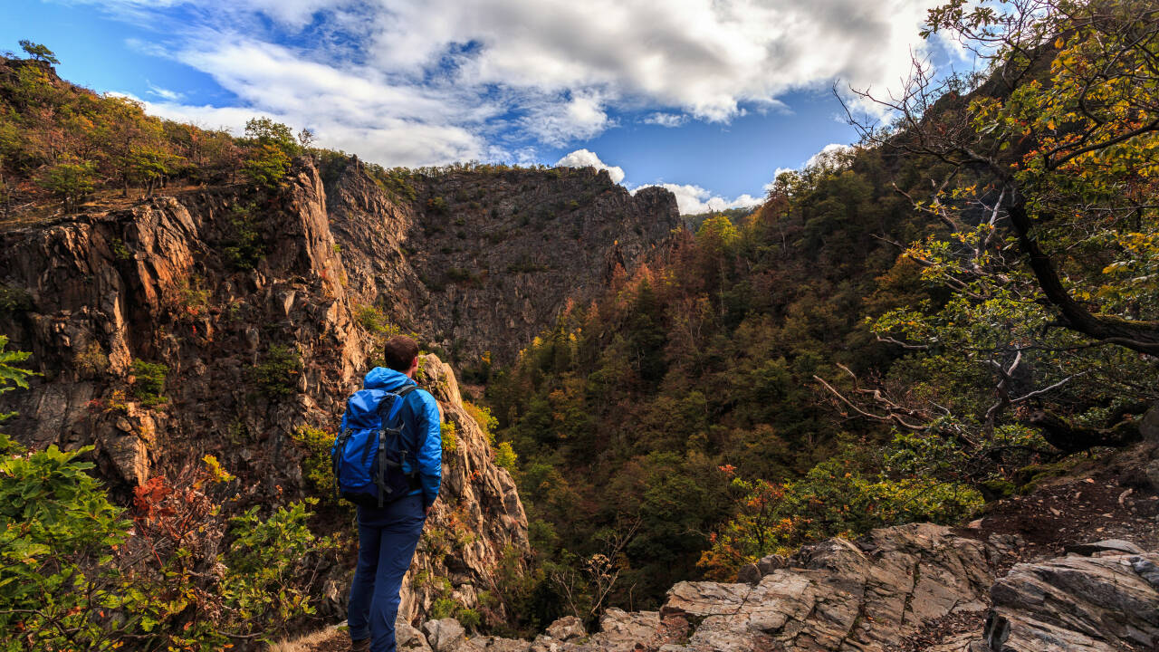 In around an hour, you can reach the wonderful Harz National Park.