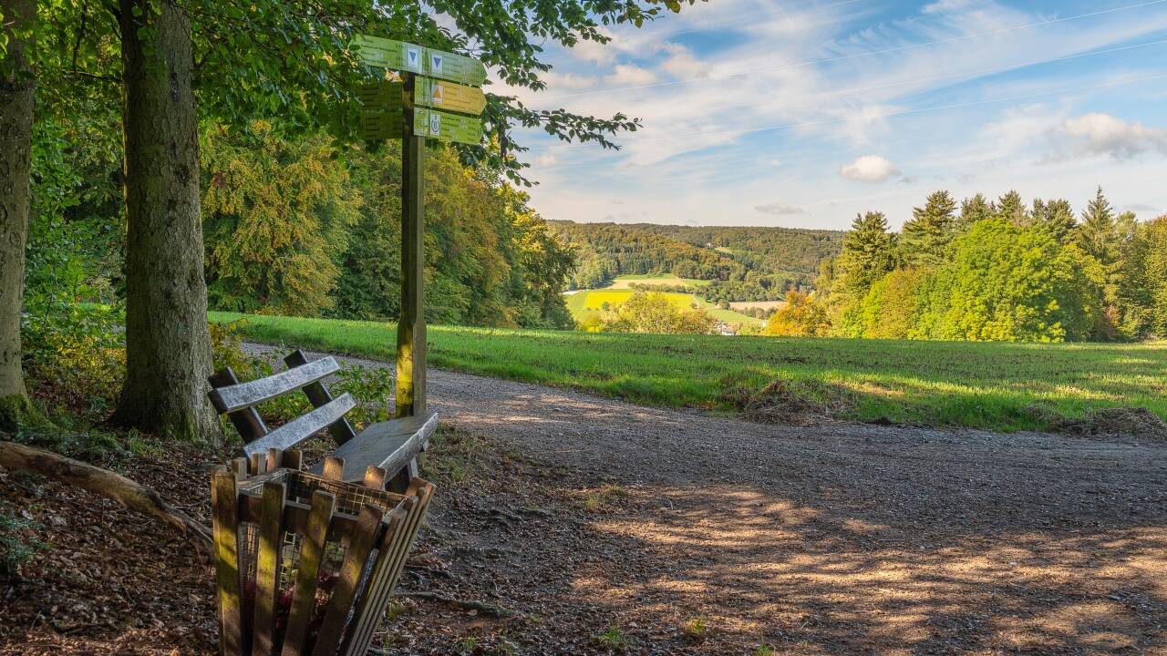 Utforsk Odenwald og Bergstraße med naturskjønne turer, vinmarker og historiske byer.