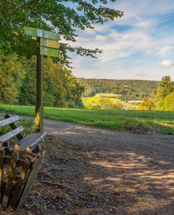 Udforsk Odenwald og Bergstraße med naturskønne vandreture, vinmarker og historiske byer.