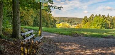 Udforsk Odenwald og Bergstraße med naturskønne vandreture, vinmarker og historiske byer.