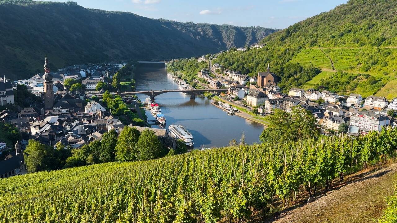 Genießen Sie malerische Weinberge, charmante Weindörfer und herrliche Landschaften. Ideal, um die Deutsche Weinstraße und die Pfalz zu erkunden.