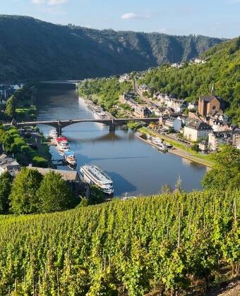 Genießen Sie malerische Weinberge, charmante Weindörfer und reizvolle Landschaften. + Ausgangspunkt Weinregion: Ideal zur Erkundung der Deutschen Weinstraße und der Pfalz