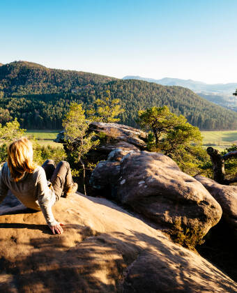Der nahe Pfälzerwald bietet hervorragende Möglichkeiten zum Wandern und für Outdoor-Aktivitäten.