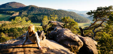 Der nahe Pfälzerwald bietet hervorragende Möglichkeiten zum Wandern und für Outdoor-Aktivitäten.