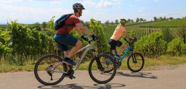 Fahrradfreundlich: Abschließbare Fahrradabstellplätze sind vorhanden