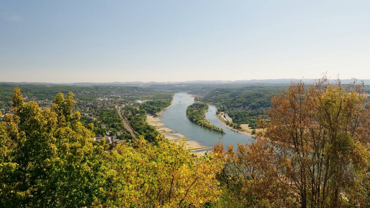 The nearby Rhine is a lovely spot for a leisurely stroll.