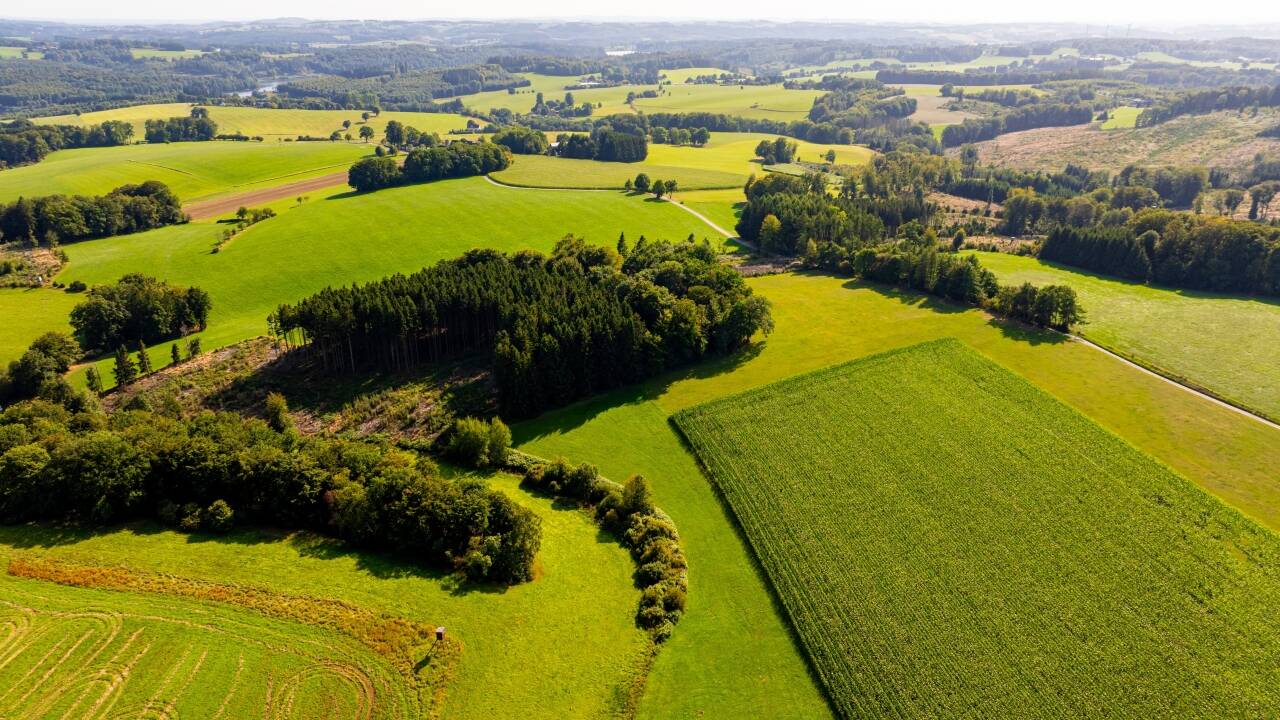 I Bergisches Land gör de böljande kullarna och vackra byarna cykling och vandring till ett sant nöje.
