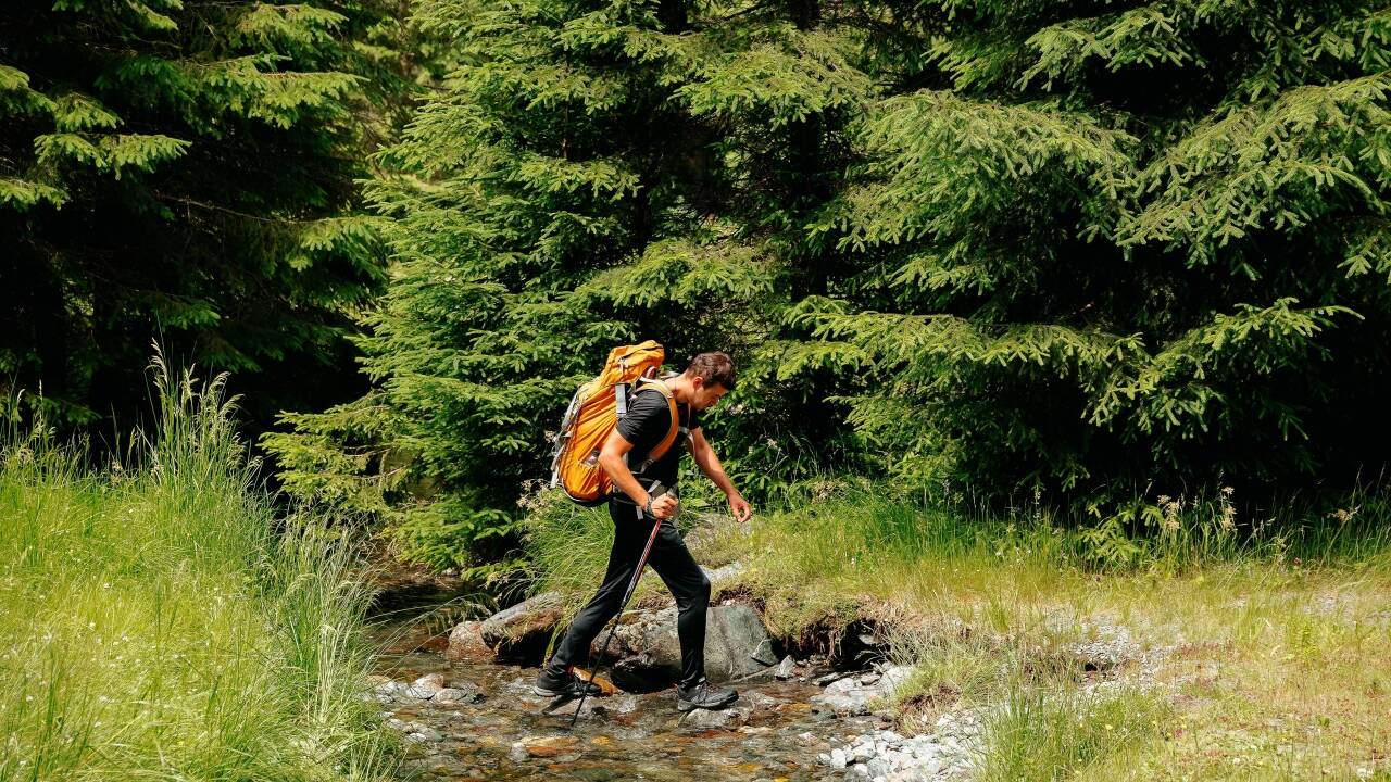 Explore scenic hiking routes, from forest paths to the famous Rennsteig trail.
