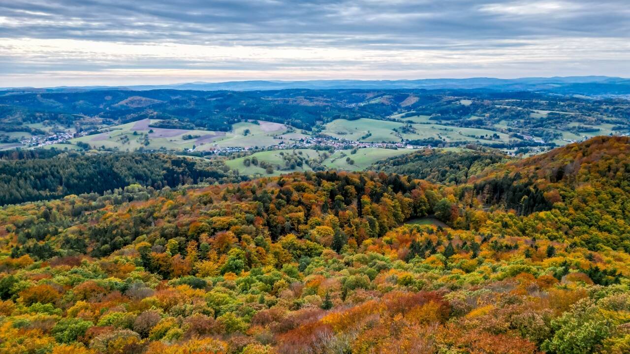Entdecken Sie reizvolle Wanderwege – von Waldpfaden bis zum berühmten Rennsteig.