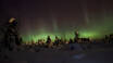 If you're really lucky, you can see the Northern Lights reflecting in the snow on a cold winter's night.
