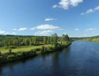 Sälen is also wonderfully beautiful in summer. Enjoy the lush nature and recharge your batteries.