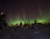 If you're really lucky, you can see the Northern Lights reflecting in the snow on a cold winter's night.
