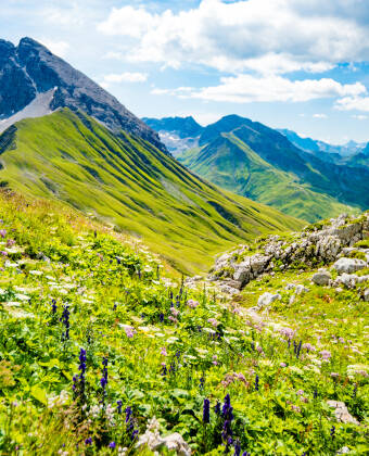 Für Kinder ein Abenteuer: der magische Arlenzauberweg am Arlberg.