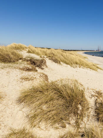 Tag på strand-crawl på Djurslands berømte strande, f.eks. Grenå Strand, Gjerrild Nordstrand og Bønnerup Strand