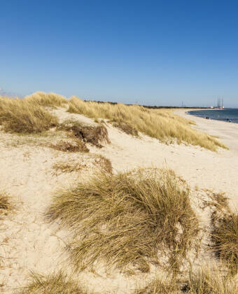 Tag på strand-crawl på Djurslands berømte strande, f.eks. Grenå Strand, Gjerrild Nordstrand og Bønnerup Strand