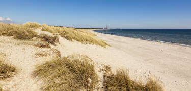 Machen Sie eine Strandtour an den berühmten Stränden von Djursland, z.B. Grenå Strand, Gjerrild Nordstrand und Bønnerup Strand.