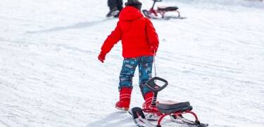 Om vintrarna kan hela familjen roa sig i skidområdet, Mullsjö Alpin, som ligger runt hörnet från hotellet.