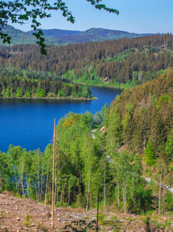 Från hotellet har ni närhet till det vackra området kring Kranichsee-dammarna som bjuder på fina vandringsturer.