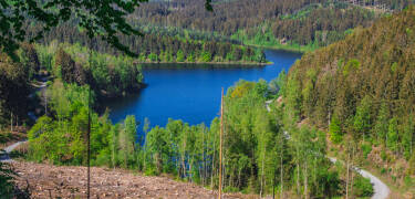 Från hotellet har ni närhet till det vackra området kring Kranichsee-dammarna som bjuder på fina vandringsturer.