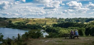 Erleben Sie die wunderschöne Natur – ob Spaziergänge am Søndersø und Nørresø oder Wanderungen durch die Dolleruper Hügel und um den Hald See.