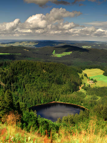 Njut av de frodiga omgivningar med frisk bergsluft i det idylliska naturområdet Schwarzwald.
