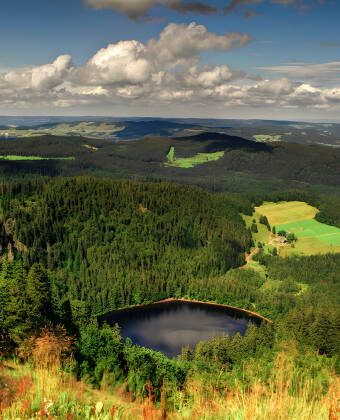Das Hotel Ehrich befindet sich im schönen, beliebten Schwarzwald, inmitten herrlicher grüner Umgebung.