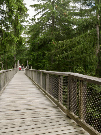Visit the Baumwipfelpfad in Bad Wildbad with its stunning views from the tree tops.